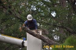 Entergy 038